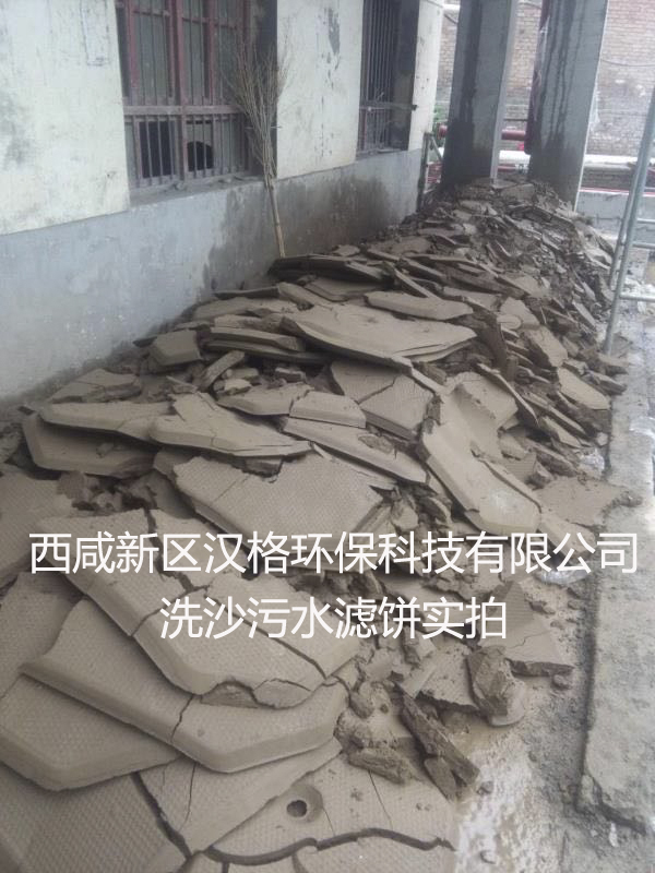 中國(guó)液壓壓緊丙烯板框式壓濾機(jī)市場(chǎng)深度分析報(bào)告（2020版）